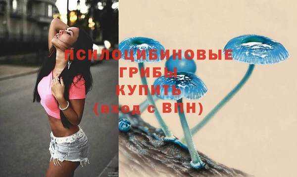шишки Алзамай