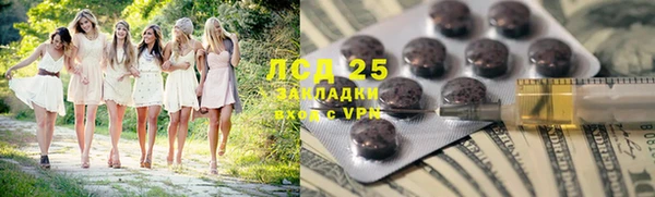 шишки Алзамай
