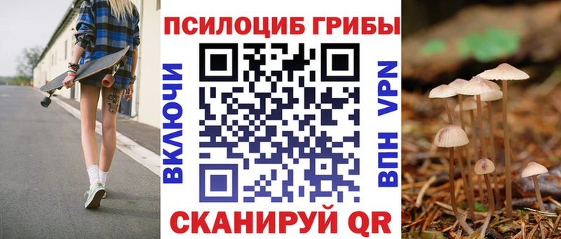 Псилоцибиновые грибы GOLDEN TEACHER  Юрьев-Польский 